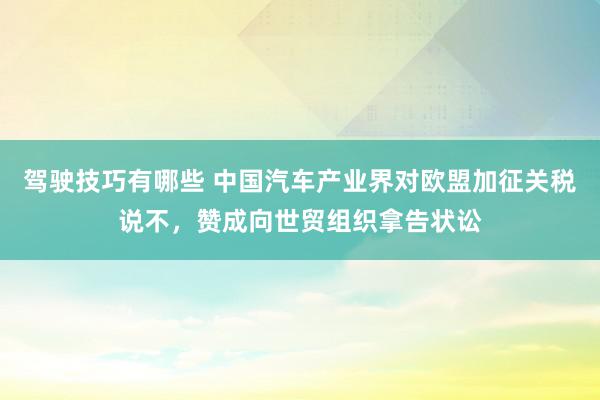 驾驶技巧有哪些 中国汽车产业界对欧盟加征关税说不，赞成向世贸组织拿告状讼