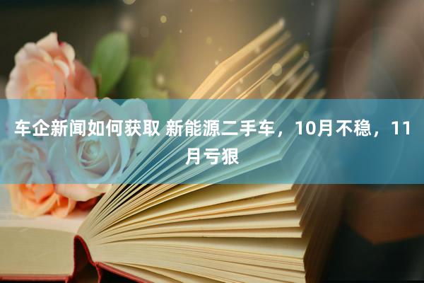 车企新闻如何获取 新能源二手车，10月不稳，11月亏狠