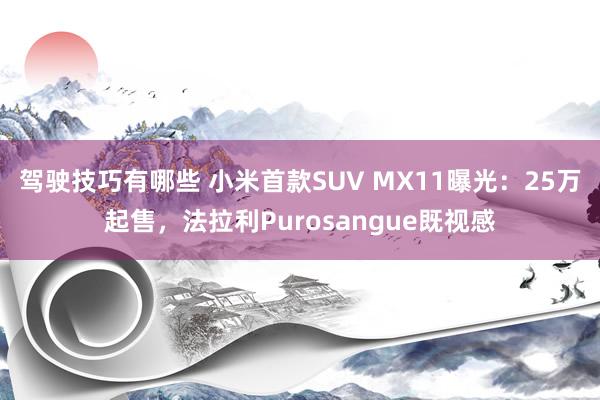 驾驶技巧有哪些 小米首款SUV MX11曝光：25万起售，法拉利Purosangue既视感