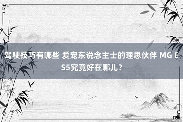 驾驶技巧有哪些 爱宠东说念主士的理思伙伴 MG ES5究竟好在哪儿？