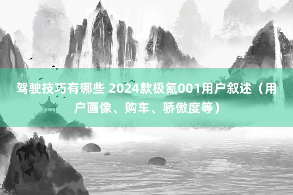 驾驶技巧有哪些 2024款极氪001用户叙述（用户画像、购车、骄傲度等）