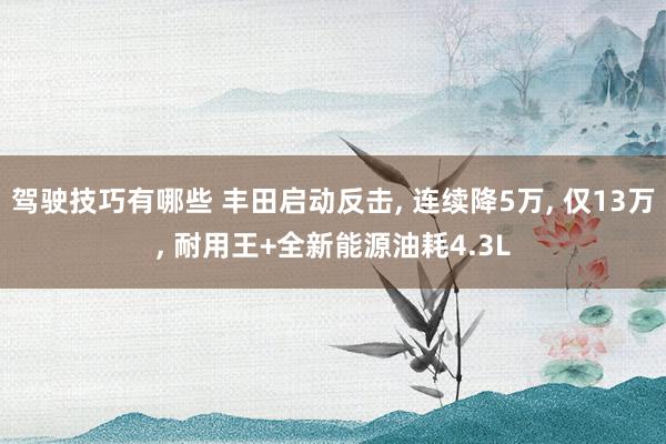 驾驶技巧有哪些 丰田启动反击, 连续降5万, 仅13万, 耐用王+全新能源油耗4.3L