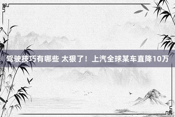 驾驶技巧有哪些 太狠了！上汽全球某车直降10万