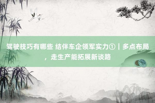 驾驶技巧有哪些 结伴车企领军实力①｜多点布局，走生产能拓展新谈路