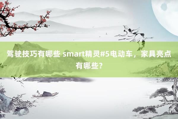 驾驶技巧有哪些 smart精灵#5电动车，家具亮点有哪些？