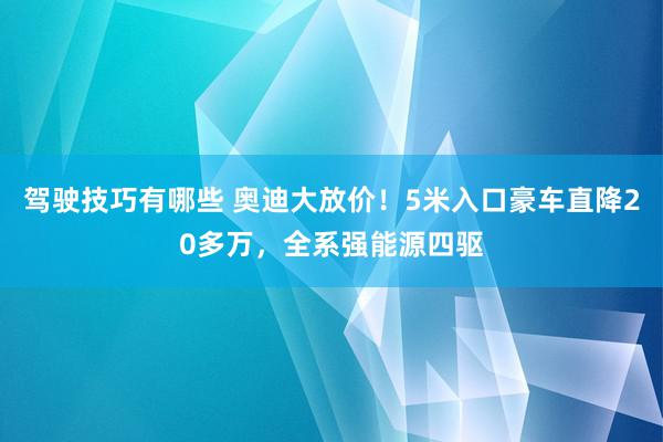 驾驶技巧有哪些 奥迪大放价！5米入口豪车直降20多万，全系强能源四驱