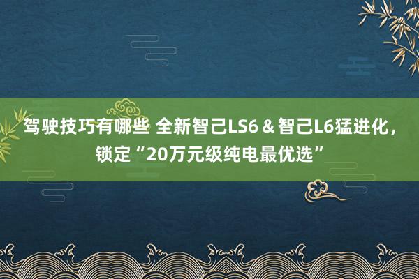 驾驶技巧有哪些 全新智己LS6＆智己L6猛进化，锁定“20万元级纯电最优选”