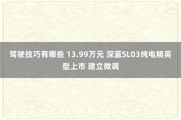 驾驶技巧有哪些 13.99万元 深蓝SL03纯电精英型上市 建立微调