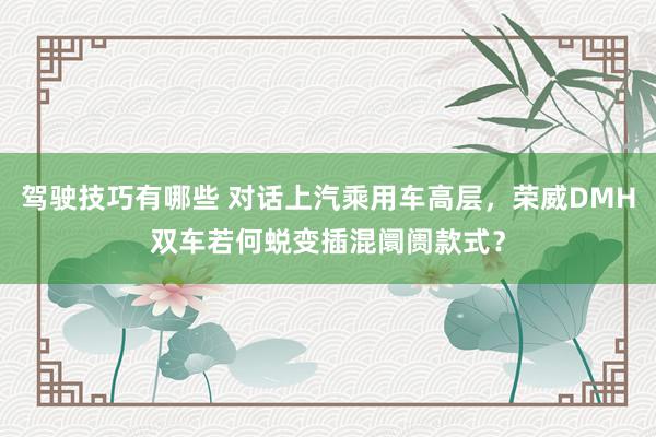 驾驶技巧有哪些 对话上汽乘用车高层，荣威DMH双车若何蜕变插混阛阓款式？