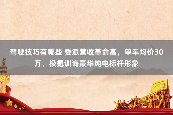 驾驶技巧有哪些 委派营收革命高，单车均价30万，极氪训诲豪华纯电标杆形象