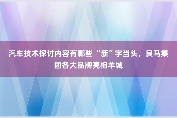 汽车技术探讨内容有哪些 “新”字当头，良马集团各大品牌亮相羊城