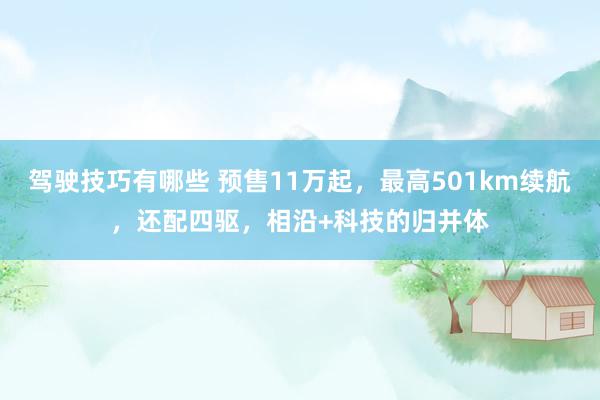 驾驶技巧有哪些 预售11万起，最高501km续航，还配四驱，相沿+科技的归并体