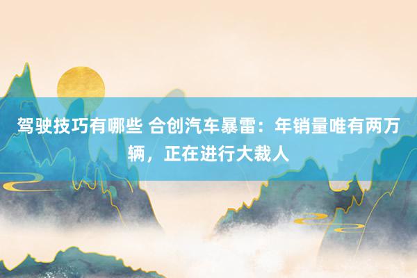 驾驶技巧有哪些 合创汽车暴雷：年销量唯有两万辆，正在进行大裁人