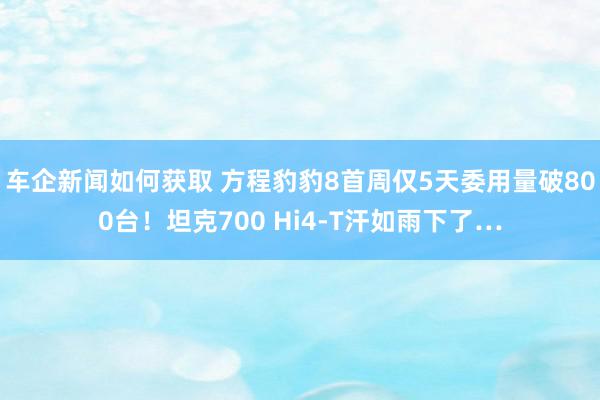 车企新闻如何获取 方程豹豹8首周仅5天委用量破800台！坦克700 Hi4-T汗如雨下了…