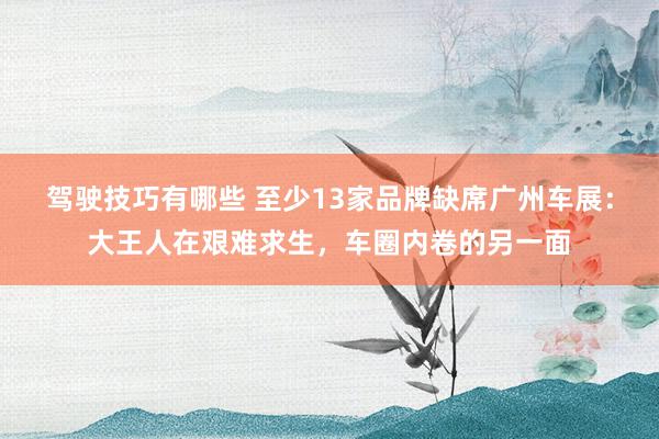 驾驶技巧有哪些 至少13家品牌缺席广州车展：大王人在艰难求生，车圈内卷的另一面