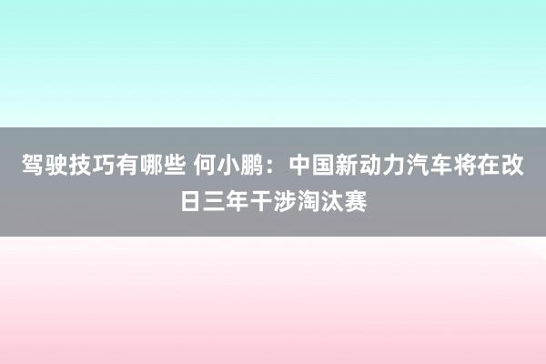 驾驶技巧有哪些 何小鹏：中国新动力汽车将在改日三年干涉淘汰赛