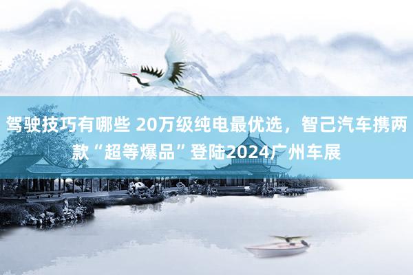 驾驶技巧有哪些 20万级纯电最优选，智己汽车携两款“超等爆品”登陆2024广州车展