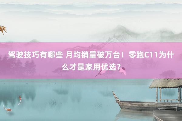 驾驶技巧有哪些 月均销量破万台！零跑C11为什么才是家用优选？