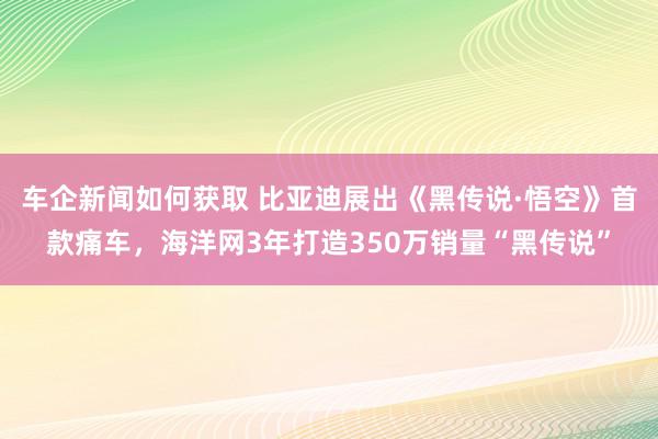 车企新闻如何获取 比亚迪展出《黑传说·悟空》首款痛车，海洋网3年打造350万销量“黑传说”