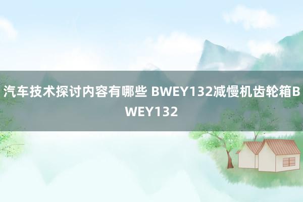 汽车技术探讨内容有哪些 BWEY132减慢机齿轮箱BWEY132