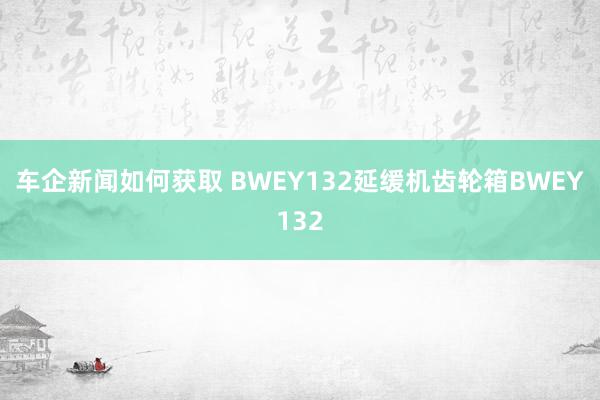 车企新闻如何获取 BWEY132延缓机齿轮箱BWEY132