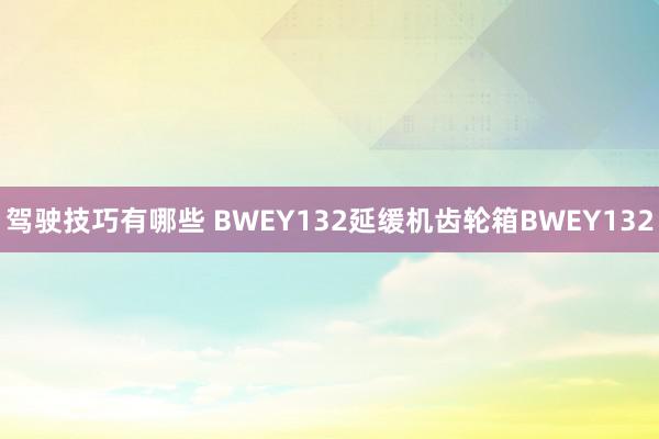 驾驶技巧有哪些 BWEY132延缓机齿轮箱BWEY132