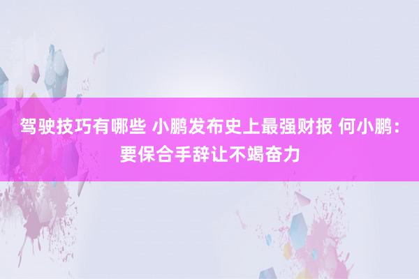 驾驶技巧有哪些 小鹏发布史上最强财报 何小鹏：要保合手辞让不竭奋力