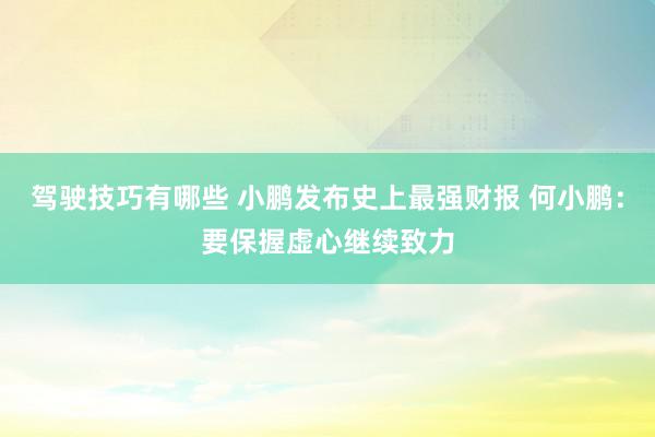 驾驶技巧有哪些 小鹏发布史上最强财报 何小鹏：要保握虚心继续致力