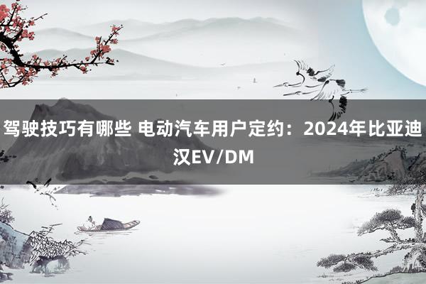 驾驶技巧有哪些 电动汽车用户定约：2024年比亚迪汉EV/DM