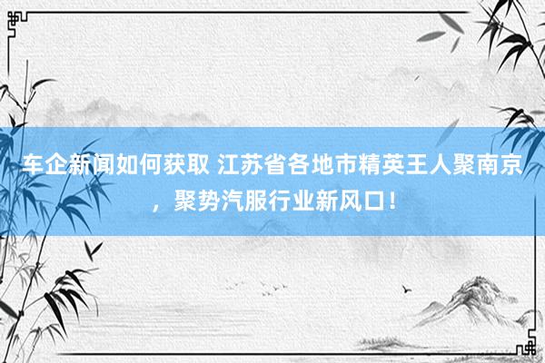 车企新闻如何获取 江苏省各地市精英王人聚南京，聚势汽服行业新风口！