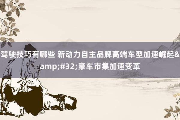 驾驶技巧有哪些 新动力自主品牌高端车型加速崛起&#32;豪车市集加速变革