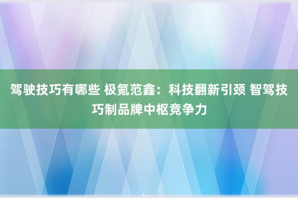 驾驶技巧有哪些 极氪范鑫：科技翻新引颈 智驾技巧制品牌中枢竞争力