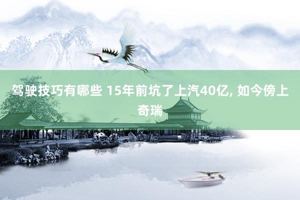 驾驶技巧有哪些 15年前坑了上汽40亿, 如今傍上奇瑞