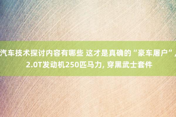 汽车技术探讨内容有哪些 这才是真确的“豪车屠户”, 2.0T发动机250匹马力, 穿黑武士套件