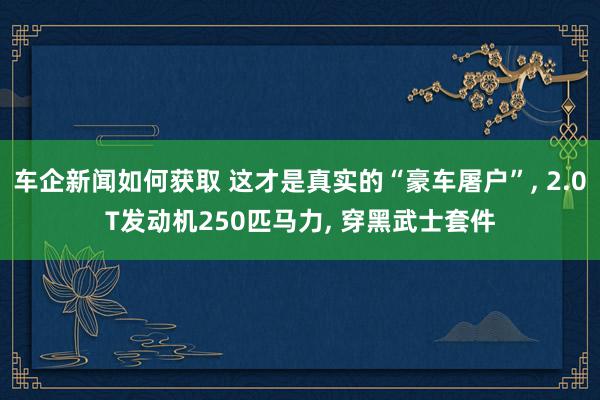 车企新闻如何获取 这才是真实的“豪车屠户”, 2.0T发动机250匹马力, 穿黑武士套件