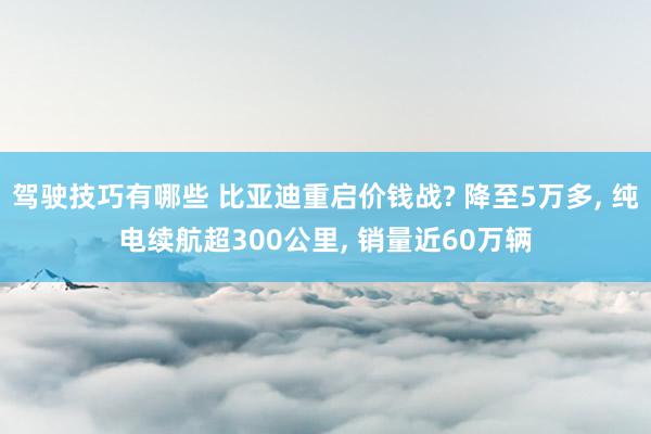 驾驶技巧有哪些 比亚迪重启价钱战? 降至5万多, 纯电续航超300公里, 销量近60万辆