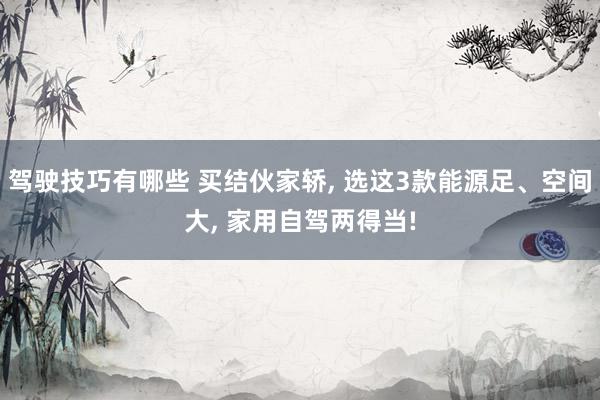 驾驶技巧有哪些 买结伙家轿, 选这3款能源足、空间大, 家用自驾两得当!