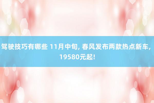 驾驶技巧有哪些 11月中旬, 春风发布两款热点新车, 19580元起!