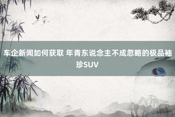 车企新闻如何获取 年青东说念主不成忽略的极品袖珍SUV