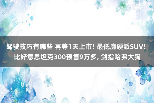 驾驶技巧有哪些 再等1天上市! 最低廉硬派SUV! 比好意思坦克300预售9万多, 剑指哈弗大狗