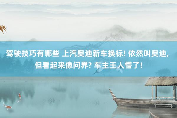 驾驶技巧有哪些 上汽奥迪新车换标! 依然叫奥迪, 但看起来像问界? 车主王人懵了!