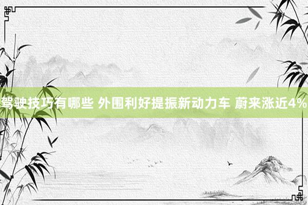 驾驶技巧有哪些 外围利好提振新动力车 蔚来涨近4%