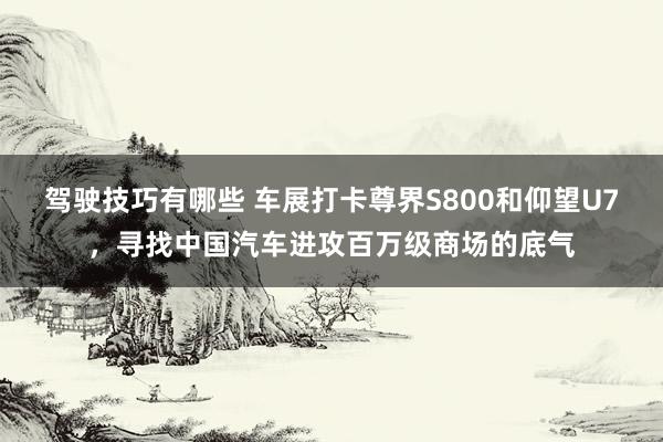 驾驶技巧有哪些 车展打卡尊界S800和仰望U7，寻找中国汽车进攻百万级商场的底气