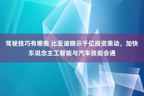 驾驶技巧有哪些 比亚迪晓示千亿投资策动，加快东说念主工智能与汽车技能会通