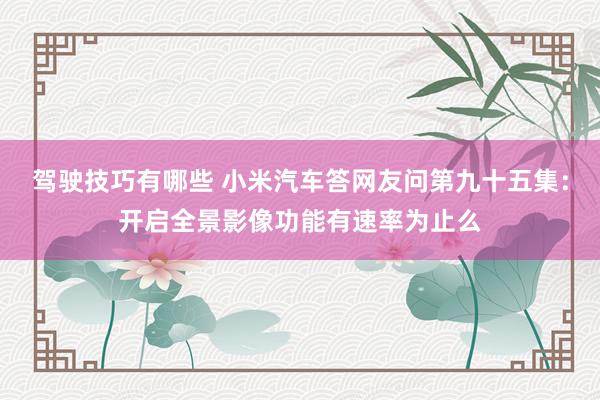 驾驶技巧有哪些 小米汽车答网友问第九十五集：开启全景影像功能有速率为止么