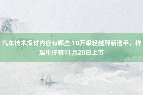 汽车技术探讨内容有哪些 10万级轻越野新选手，祥瑞牛仔将11月20日上市