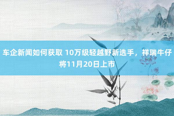 车企新闻如何获取 10万级轻越野新选手，祥瑞牛仔将11月20日上市