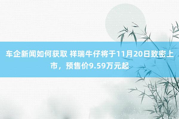 车企新闻如何获取 祥瑞牛仔将于11月20日致密上市，预售价9.59万元起