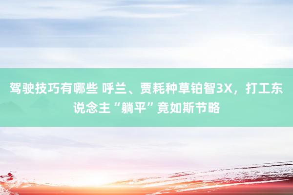 驾驶技巧有哪些 呼兰、贾耗种草铂智3X，打工东说念主“躺平”竟如斯节略