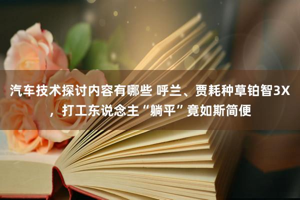 汽车技术探讨内容有哪些 呼兰、贾耗种草铂智3X，打工东说念主“躺平”竟如斯简便